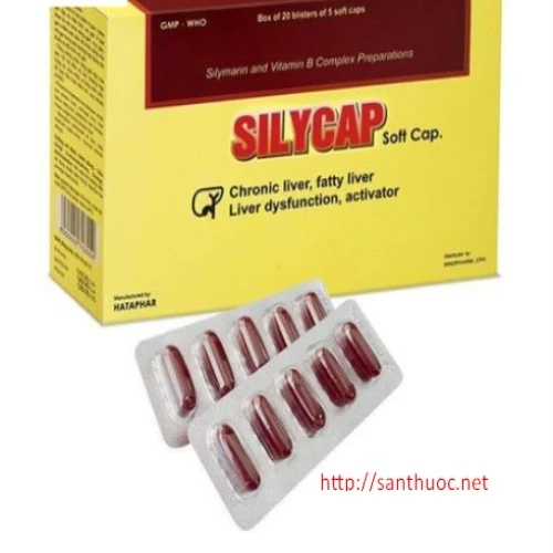 Silycap 100mg - Thuốc giúp giải độc gan hiệu quả
