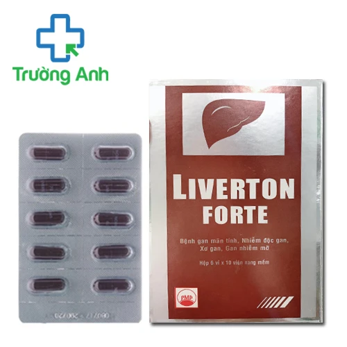 Liverton Forte - Hỗ trợ điều trị suy chức năng gan của Pymepharco