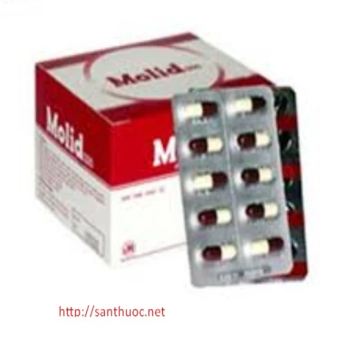 Molid 300mg - Thuốc giúp hạ mỡ máu hiệu quả