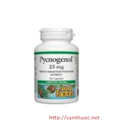 Pycnogenol - Giúp chống oxy hóa cơ thể hiệu quả