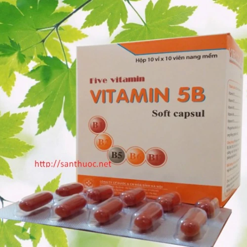Vitamin 5B - Thuốc giúp bổ sung các vitamin nhóm B hiệu quả