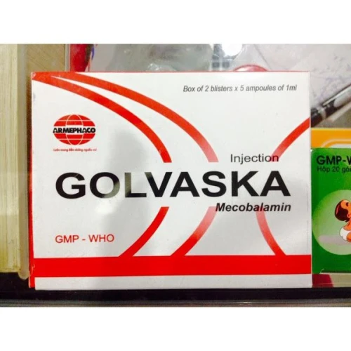 Golvaska (tiêm) - Thuốc điều trị thiếu máu ác tính của Armephaco
