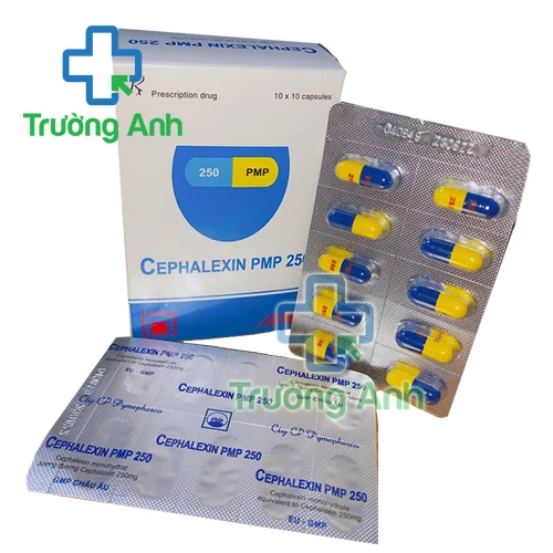 Cephalexin PMP 250 - Thuốc điều trị nhiễm khuẩn của Pymepharco
