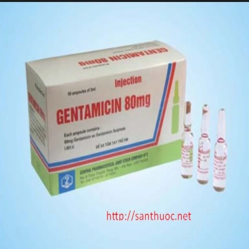 Gentamycin 40mg-80mg - Thuốc điều trị nhiễm khuẩn hiệu quả