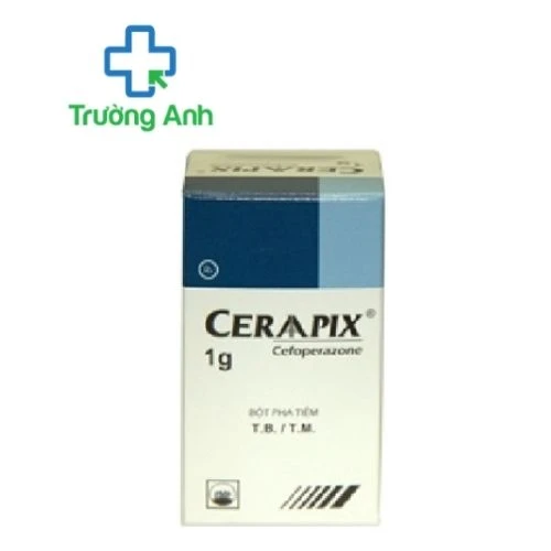 CERAAPIX 1g - Thuốc điều trị nhiễm khuẩn hiệu quả của Pymepharco