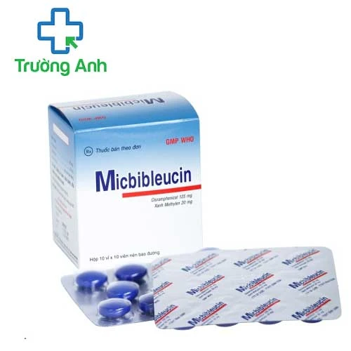 Micbibleucin - Thuốc điều trị nhiễm khuẩn hiệu quả của Bidiphar