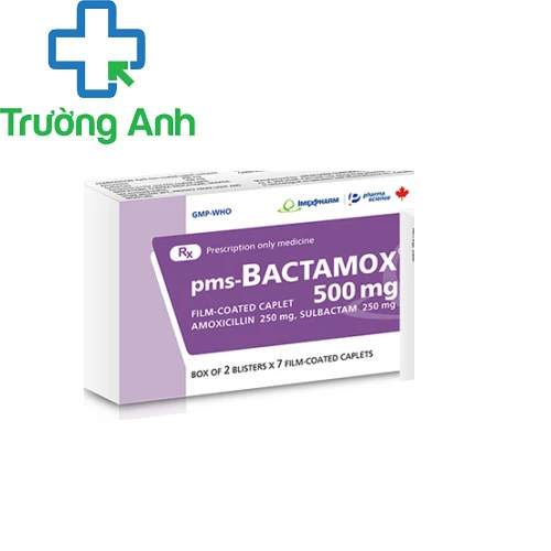 pms - Bactamox 500 mg - Thuốc điều trị nhiễm khuẩn của Imexpharm
