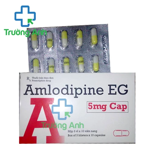 Amlodipine EG 5mg Cap - Điều trị cao huyết áp, đau thắt ngực