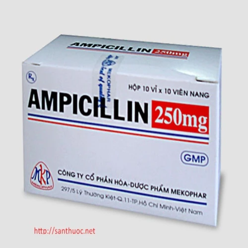 Ampicillin 250mg Mekophar - Thuốc điều trị nhiễm khuẩn hiệu quả