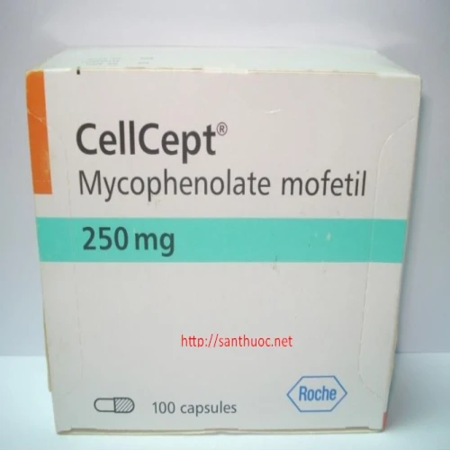 Cellcept 250mg - Thuốc giúp dự phòng đào thải khi ghép thận hiệu quả