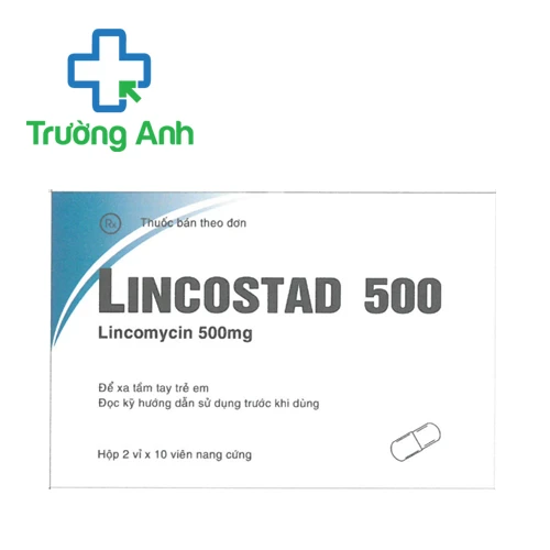 Lincostad 500 - Thuốc điều trị bệnh nhiễm khuẩn của Pymeoharco