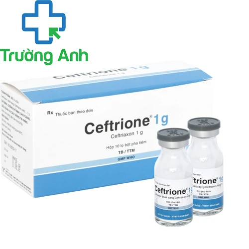 Ceftrione 1g - Thuốc điều trị nhiễm khuẩn của Bidiphar