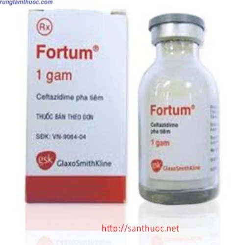  Fortum 1g - Thuốc kháng sinh hiệu quả của Anh