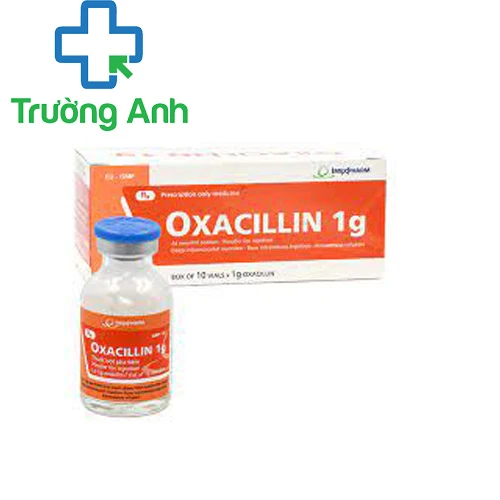 Oxacillin 1g - Thuốc điều trị nhiễm khuẩn của Imexpharm