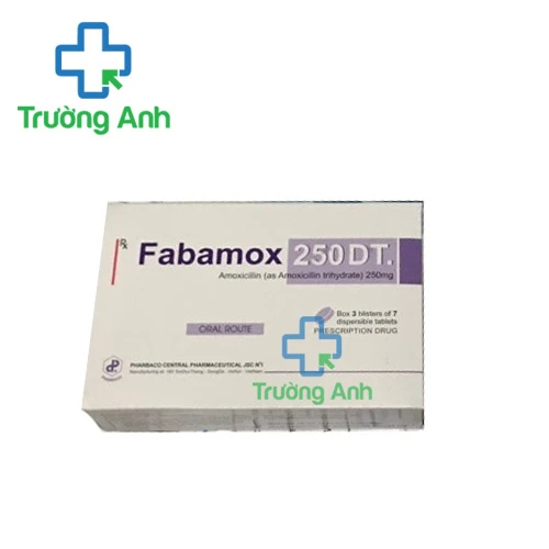 Fabamox 250 DT - Thuốc điều trị bệnh nhiễm khuẩn của Pharbaco