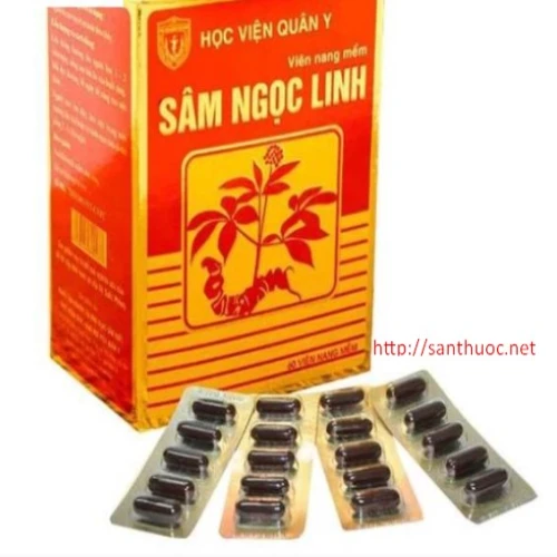 Sâm Ngọc Linh - Giúp tăng cường sức đề kháng hiệu quả