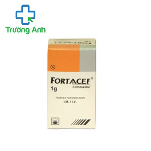 FORTAACEF 1g - Thuốc điều trị nhiễm khuẩn của Pymepharco