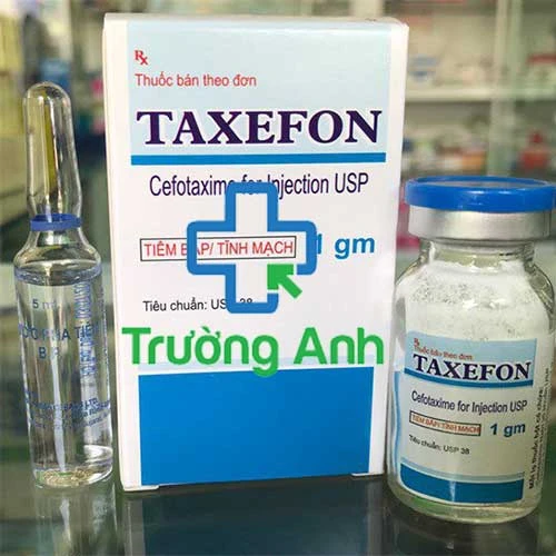 Taxefon - Thuốc điều trị các bệnh nhiễm khuẩn của Ấn Độ