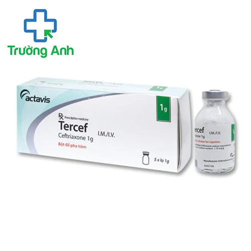 Tercef 1g - Thuốc điều trị nhiễm khuẩn hiệu quả của Bulgaria