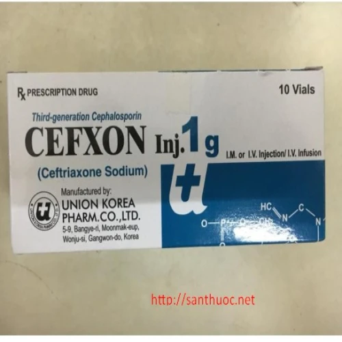 Cefxon 1g - Thuốc kháng sinh hiệu quả