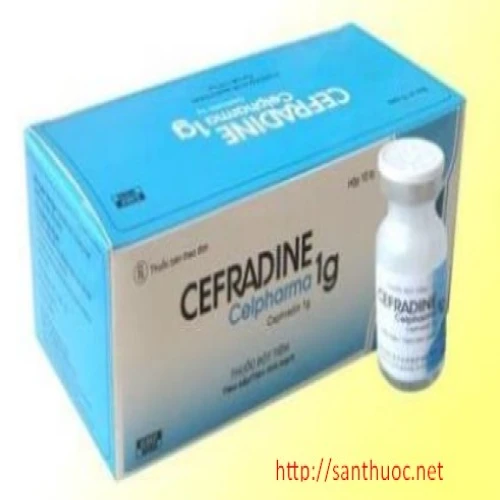 Cefradine 1g  - Thuốc kháng sinh điều trị bệnh hiệu quả