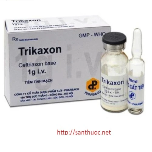 Trikaxon 1g - Thuốc điều trị nhiễm khuẩn hiệu quả