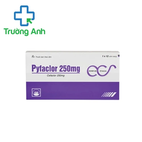 Pyfaclor 250mg - Điều trị các bệnh do nhiễm khuẩn của Pymepharco