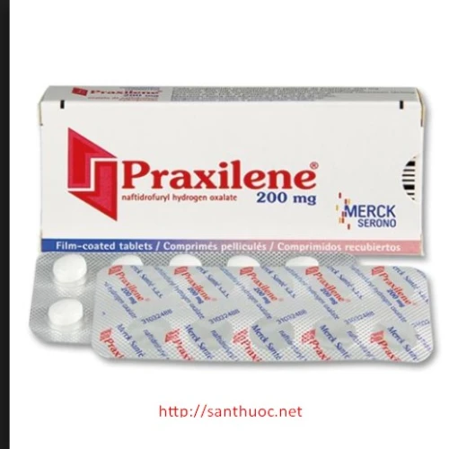 Praxilene - Thuốc điều trị các bệnh lý thần kinh hiệu quả
