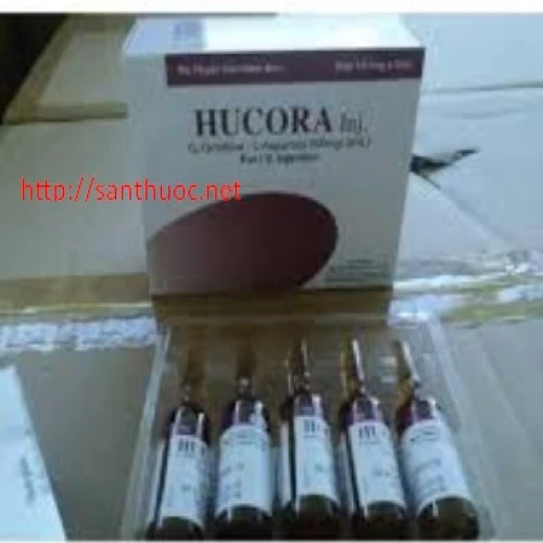 Hucora Inj.500mg/5ml - Thuốc điều trị các bệnh lý ở gan hiệu quả