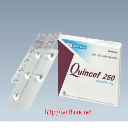 Quincef 250mg - Thuốc kháng sinh hiệu quả