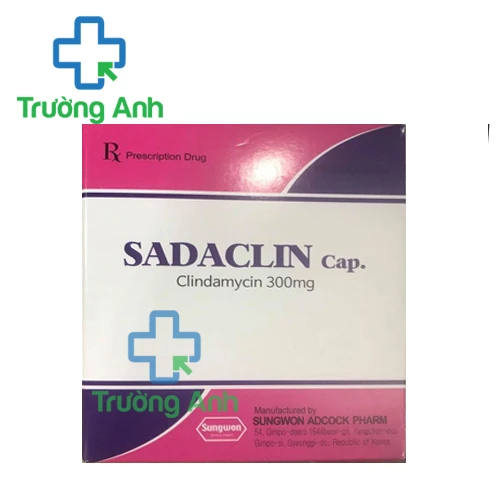 Sadaclin - Thuốc điều trị nhiễm khuẩn hiệu quả của Hàn Quốc