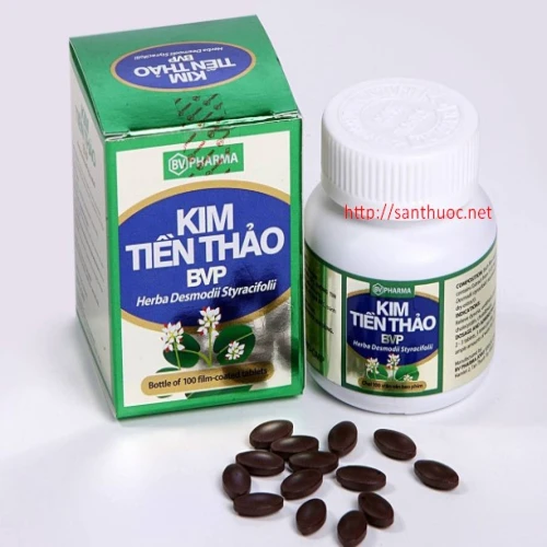 Kim tiền thảo BVP - Thuốc điều trị sỏi thận, sỏi đường tiết niệu hiệu quả