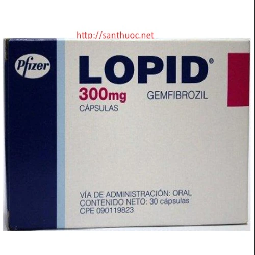 Lopid 300mg - Thuốc giúp hạ mỡ máu hiệu quả của Thái Lan
