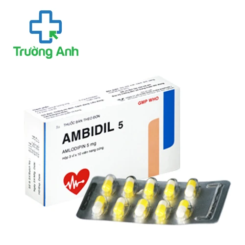 Ambidil 5mg - Thuốc điều trị huyết áp cao của Bidiphar1