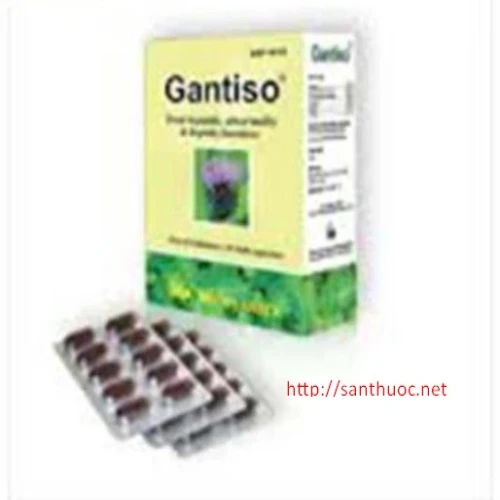 Gantiso 100mg - Thuốc giúp điều trị các bệnh lý ở gan hiệu quả