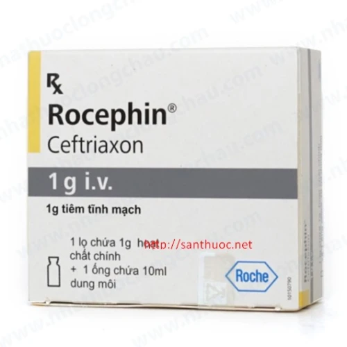 Rocephin 1g - Thuốc điều trị nhiễm trùng nặng hiệu quả