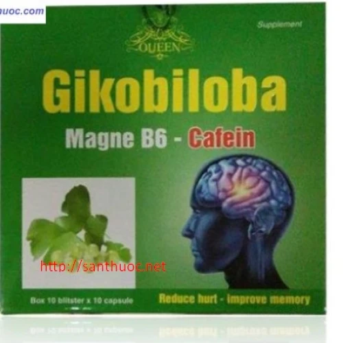 GIKOBILOBA - Thuốc giúp bổ huyết, dưỡng não hiệu quả