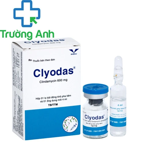 Clyodas 600mg/4ml - Thuốc điều trị nhiễm khuẩn của Bidiphar