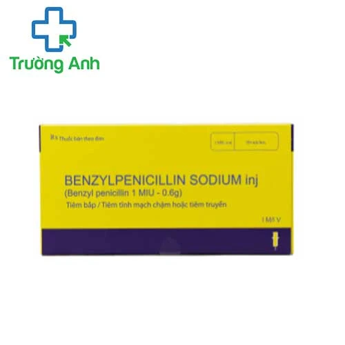 BENZYLPENICILLIN SODIUM - Thuốc điều trị nhiễm khuẩn của Harbin