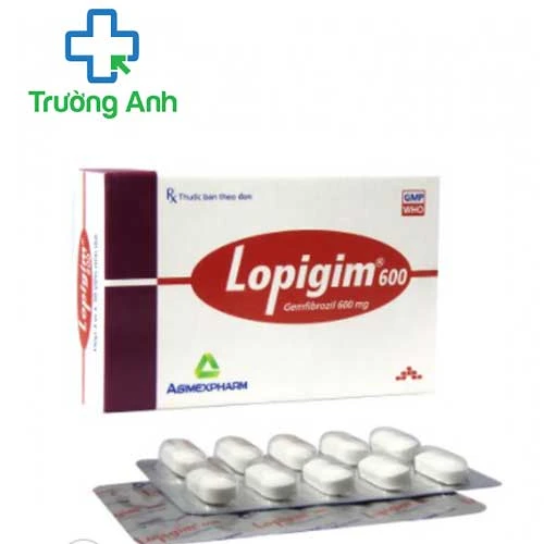Lopigim 600 - Thuốc điều hòa lipid máu hiệu quả của Agimexpharm
