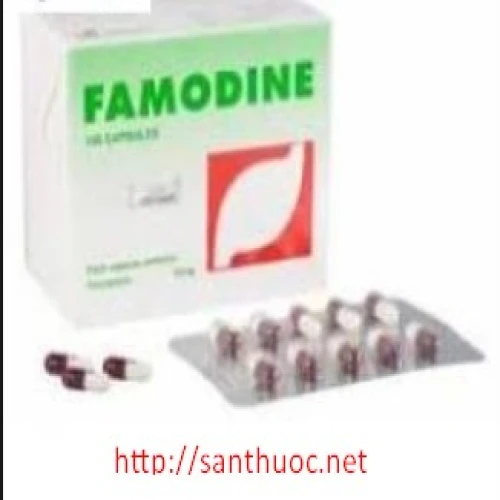 Famodine - Thuốc điều trị viêm loét dạ dày, tá tràng hiệu quả