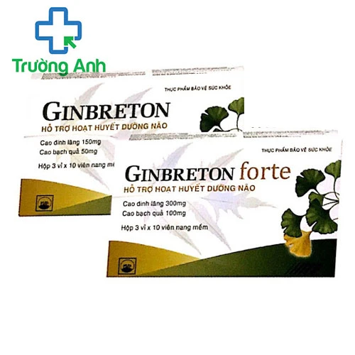 GINBRETON FORTE - Thực phẩm hỗ trợ tăng cường tuần hoàn não 
