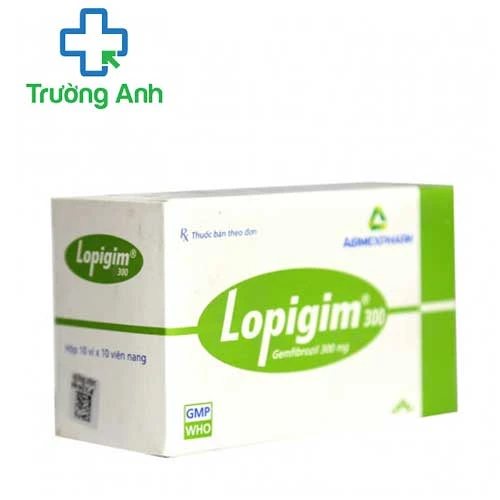 Lopigim 300 - Thuốc điều trị tăng lipoprotein máu của Agimexpharm
