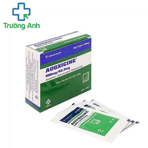 Augxicine 500mg/62,5mg - Thuốc điều trị nhiễm khuẩn của Vidipha