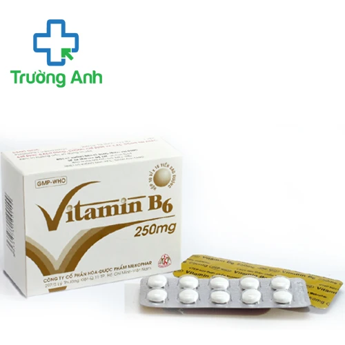Vitamin B6 250mg - Thực phẩm bổ sung vitamin B6 của Mekophar
