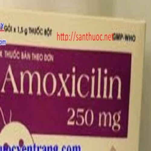 Amoxicillin 250mg DHG - Thuốc điều trị nhiễm trùng hiệu quả