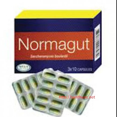 Normagut - Thuốc giúp phòng và điều trị tiêu chảy hiệu quả