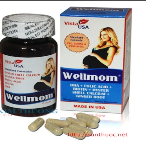 Wellmom - Thuốc giúp bổ sung dinh dưỡng cho bà bầu hiệu quả