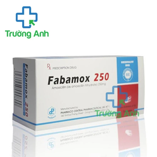 Fabamox 250mg (viên) - Thuốc điều trị nhiễm khuẩn của Pharbaco