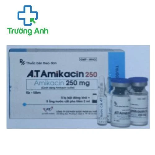 A.T Amikacin 250 - Thuốc điều trị nhiễm khuẩn của An Thiên